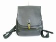 Photo1: LOUIS VUITTON Taiga Leather Episea Backpack Bag Cassiar #6337 (1)