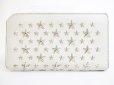 Photo2: Jimmy Choo Silver Metal Stars White Leather Zip Around Wallet Purse #7411 (2)