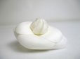 Photo5: CHANEL Camelia White Canvas Small Corsage Brooch #a445