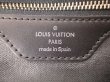 Photo10: LOUIS VUITTON Taiga Canvas&Leather Green Hand Bag Pouch Palana #4074