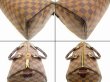 Photo6: LOUIS VUITTON Damier Leather Brown Hand Bag Purse Speedy30 #4470