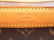 Photo10: LOUIS VUITTON Monogram Leather Brown Dog Carrier Hand Bag Sac Chien 40 #4584