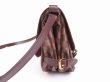 Photo4: LOUIS VUITTON Damier Leather Crossbody Bag Saumur MM 30 special order #4818