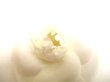 Photo6: CHANEL Camelia White Canvas Corsage Brooch #9431