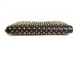 Photo5: Christian Louboutin Panettone Black Leather Spikes Round Zip Wallet #a034